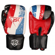 Перчатки боксёрские RSC HIT PU SB-01-146 10 унций Бело-красно-синий